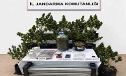 Jandarmadan uyuşturucuya geçit yok