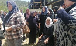 Kansere çare ararken trafik kazasında eşiyle birlikte hayatını kaybetti