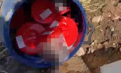 Plastik kutularda 21 cenin bulundu