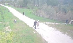 Sakarya'da gölette cesedi bulunan Rukiye'nin son anları kamerada