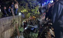 Sakarya'da otomobil dereye uçtu: 1 yaralı