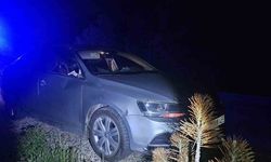 Seyir halindeki otomobile geyik çarptı: 2 yaralı