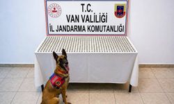 Van'da 8 İranlı'nın midesinde 3 kilo esrar ele geçirildi