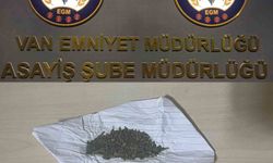 Van'da farklı suçlardan 43 kişi tutuklandı