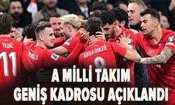 A Milli Erkek Futbol Takımı'nın 2026 FIFA Dünya Kupası kadrosu belli oldu