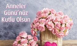 Anneler Günü Nedir? Anneler Gününün Hikayesi