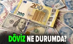 Dolar kaç TL oldu, Euro ne kadar?