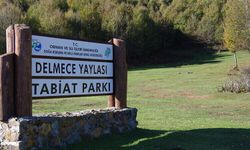 Yalova’da Delmece Yaylası yakınında maden ruhsatı iddiası