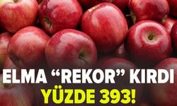 Elma "rekor" kırdı!