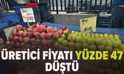 Üretici fiyatı yüzde 47 düştü