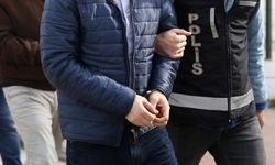 33 kedinin ölü bulunmasıyla ilgili veteriner hekim tutuklandı