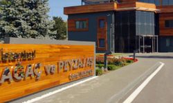 İBB soruşturmasında Ağaç ve Peyzaj AŞ'ye operasyon: 20 kişi için tutuklama talebi