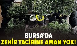 Bursa'da zehir tacirine aman yok!