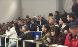 Çiçekler birbirleriyle yarıştı