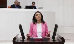CHP’li vekil kapıya tırmanarak genel merkeze girdi