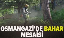 Osmangazi'de bahar mesaisi