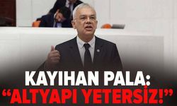Kayıhan Pala: Altyapı yetersiz!