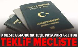 O meslek grubuna yeşil pasaport geliyor! Teklif mecliste