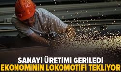 Sanayi üretimi geriledi