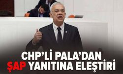 CHP’li Pala’dan, şap hastalığı yanıtına eleştiri