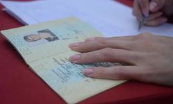 Dev vize şirketi mercek altında
