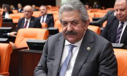 MHP'li Fethi Yıldız mutlak butlan görüşünü açıkladı