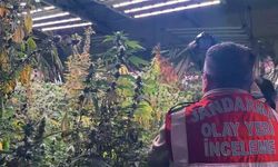 30 ildeki operasyonda yakalanan 122 şüpheli tutuklandı