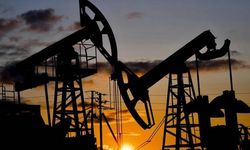 Uluslararası kuruluşlardan petrol uyarısı