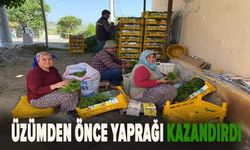 Üzümden önce yaprağı kazandırdı: Kapış kapış gidiyor