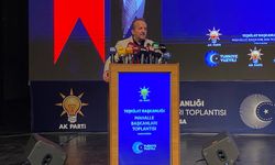 Ak Parti Bursa'da istişare için toplandı: "Biz CHP'nin düşmanı değiliz"