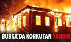 Bursa'da korkutan yangın