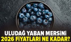 Uludağ Yaban Mersini’nde 2026 fiyatları belli oldu