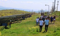 Bursa'nın 'Yeşil Gücü' Avrupa yolunda