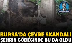 Bursa’nın göbeğinde çevre skandalı: Gökdere’ye kirli su akıyor