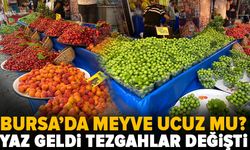 Bursa’da yaz meyveleri cep yakıyor!