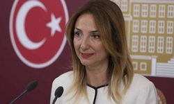Nazlıaka'dan Kılıçdaroğlu'na "Butlan" Reddi