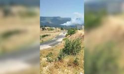 Bursa'da orman yangını