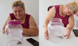 Her gelen bir akrabasına benzetiyor
