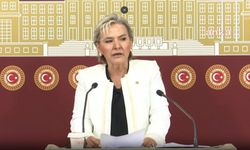 İstanbul Milletvekili Nimet Özdemir, CHP'den istifa etti
