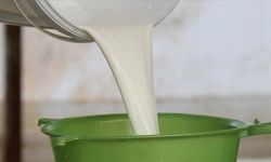 Çiğ sütün üretim maliyeti belli oldu