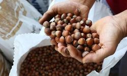 Bursa'da burada çöp altın oluyor
