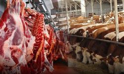 Paraguay asıl golü Türkiye'ye sığır eti ithalatı ile attı