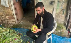 Enginar soyarak ayda 240 bin lira kazanıyor