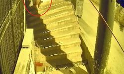 Bursa'da böyle hırsızlık görülmedi: Dükkan sahibi şok oldu
