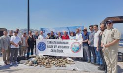 Gemlik yeniden nefes aldı