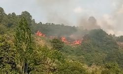 Bursa’da yangın paniği: Alevler kısa sürede yayıldı
