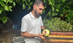Şefleri bile kıskandıran el çabukluğu