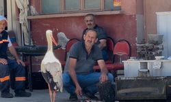 Bu dostlar da kayıkta değil kahvehanede buluşuyor