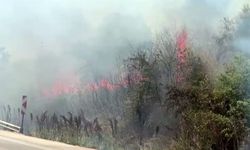 Bursa'da korkutan yangın