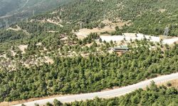 Gürsu Mesire Alanı Yeniden Açılıyor